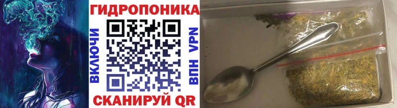 shop телеграм  Мариинск  Шишки марихуана OG Kush 